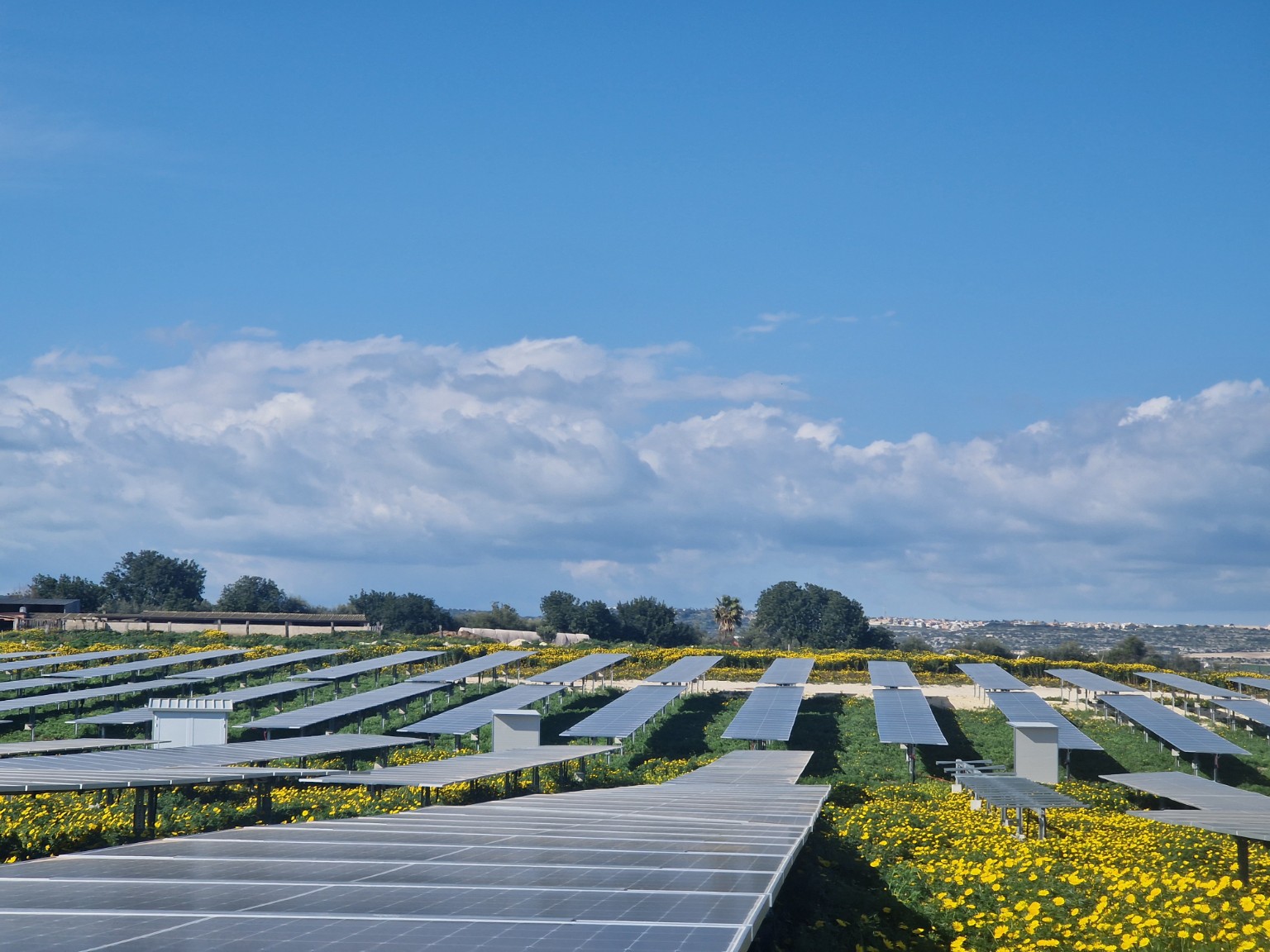 Panoramica di un campo fotovoltaico tra spazi verdi, fotografia fornita da Vi.Al. Tech